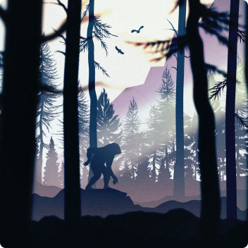 collection-cover